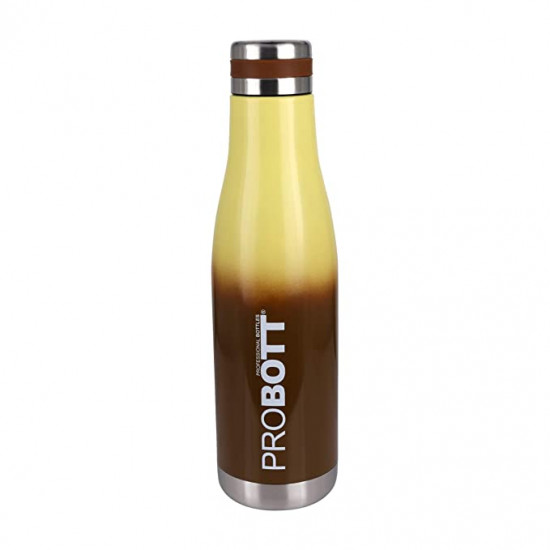 PROBOTT Companion Vacuum Flask Water Bottle