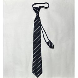 Tie Dorii Navy Lining